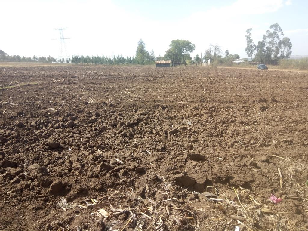 AGRICULTURAL LAND FOR SALE IN PIAVE – NAKURU COUNTY