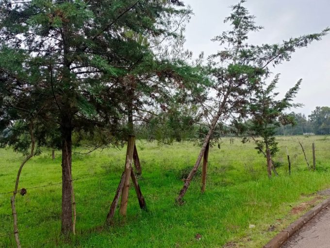 7 acres for sale,The land is situated within Karen, Nairobi County.
